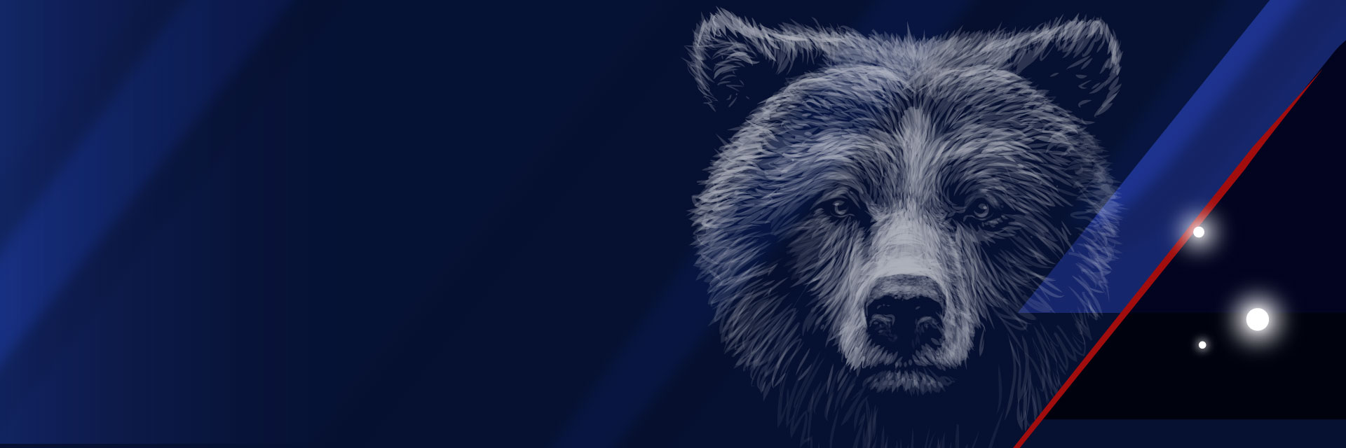 BigBear.ai bear graphic