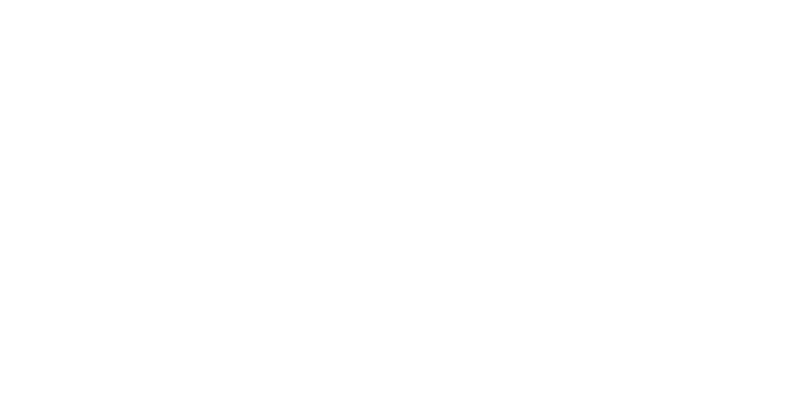 Project Leader